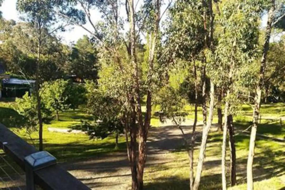 Purple House - Corner Spa, Views And Wildlife Holiday home *