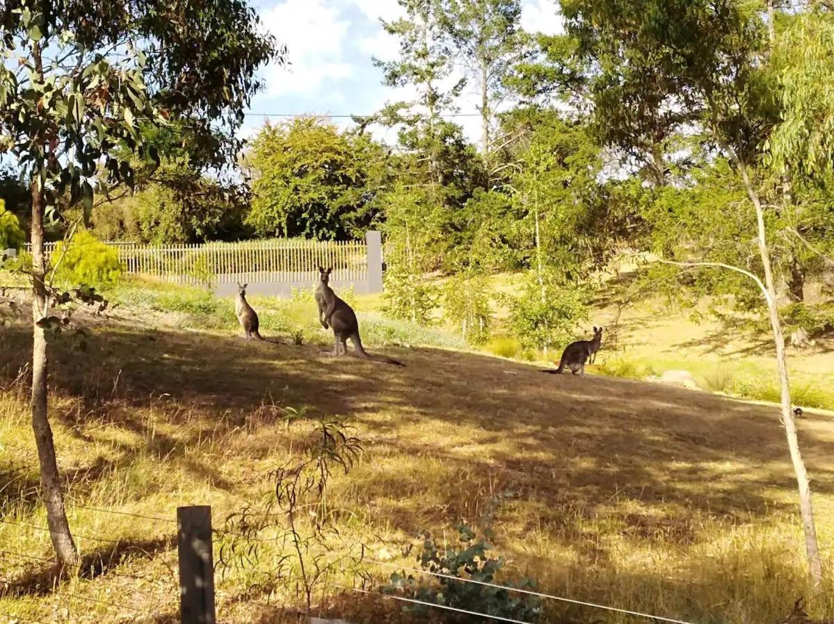 Holiday home Purple House - Corner Spa, Views And Wildlife Hepburn Springs