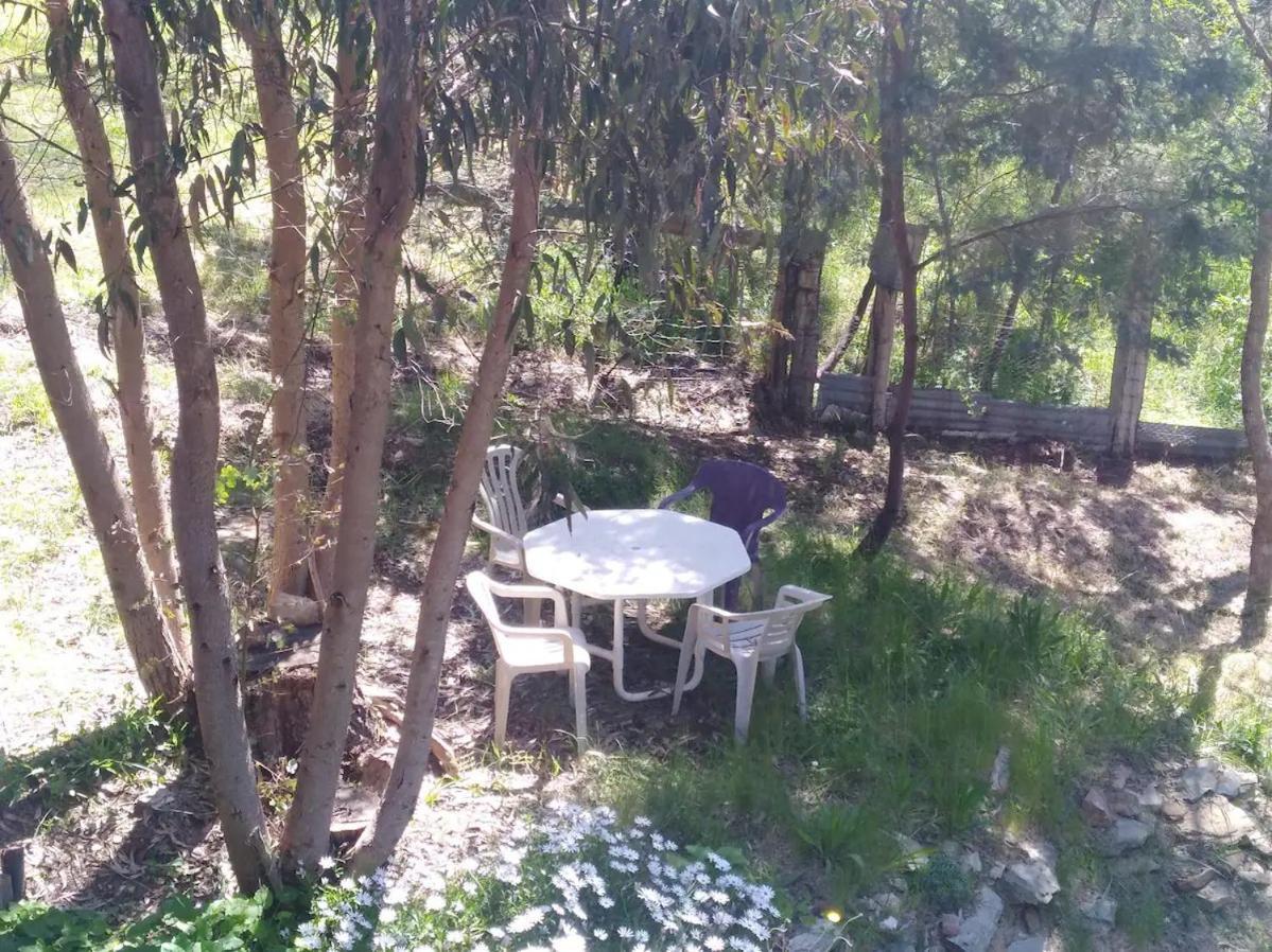 Purple House - Corner Spa, Views And Wildlife Holiday home *